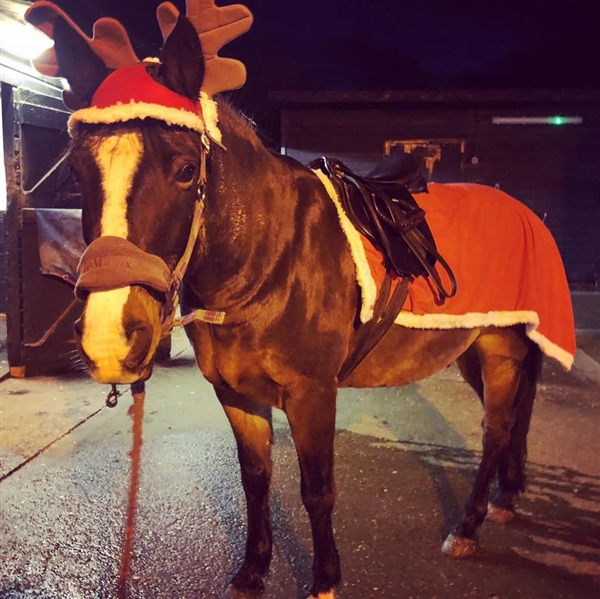 Epping Forest Christmas Ride